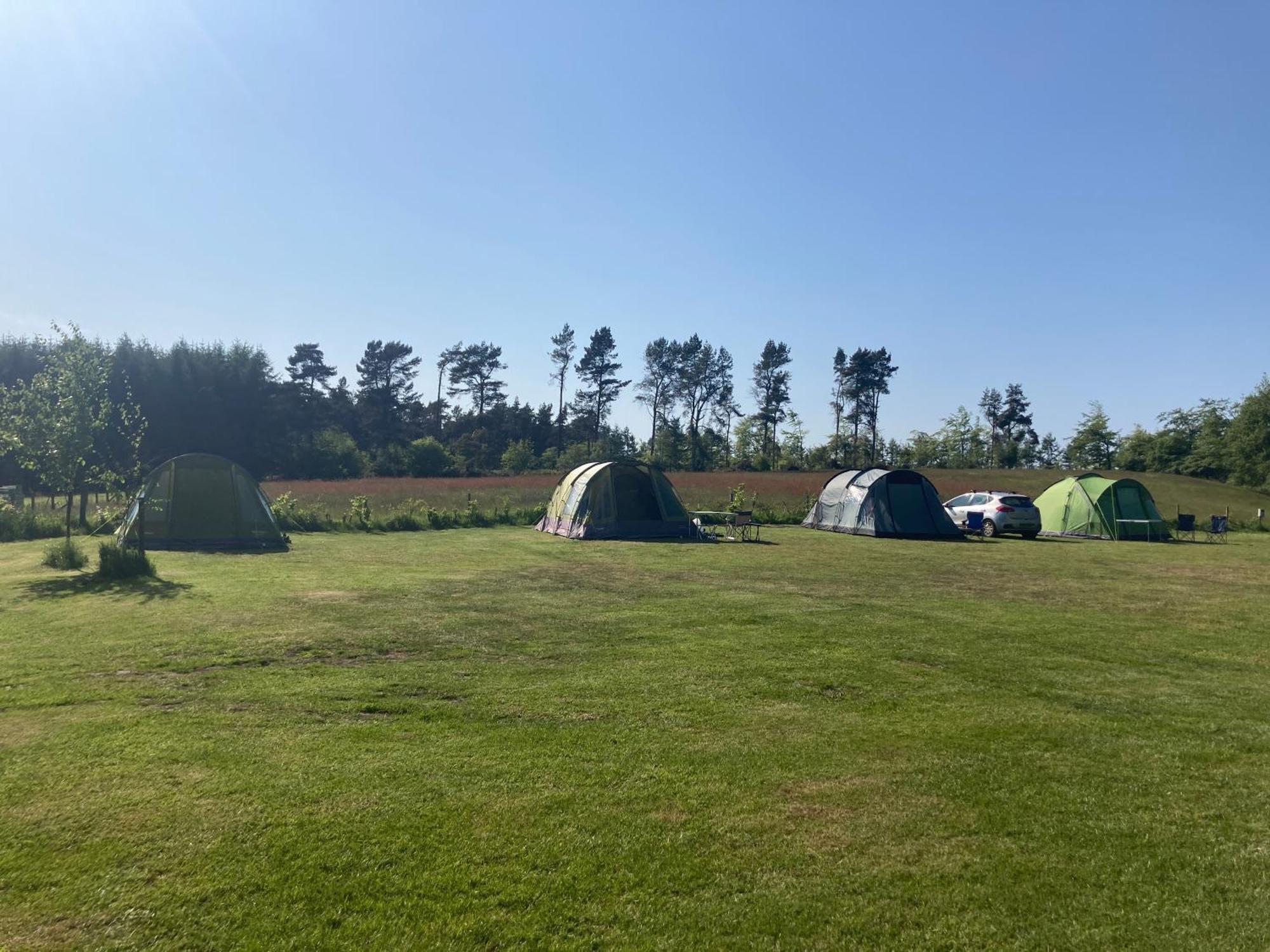 Bank Top Camping-North York Moors With Pitches For Caravans, Camper Vans And Tents Ξενοδοχείο Pickering Εξωτερικό φωτογραφία